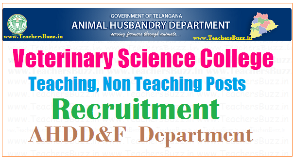 AHDD&F Veterinary Science College Warangal Teaching, Non Teaching Posts  2017 | Animal Husbandry, Dairy - TeachersBuzz