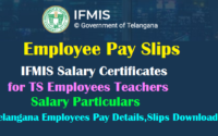 Employee Pay Slips IFMIS Salary Certificates for TS Employees |Know Your Online Salary Particulars, Telangana Employees Pay Details,Slips Download