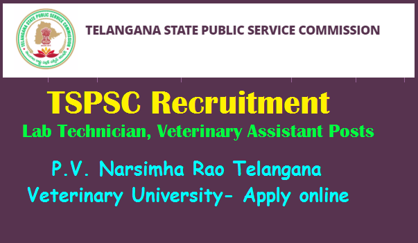 TSPSC Lab Technician, Veterinary Assistant Posts Recruitment 2020 in .  Narsimha Rao Veterinary University Apply online at  -  TeachersBuzz